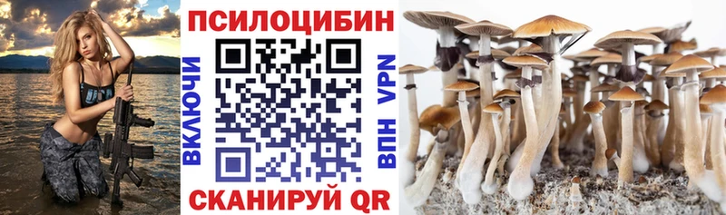 Псилоцибиновые грибы мицелий  Черняховск 